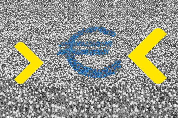 Një simbol i stilizuar i monedhës euro është mbivendosur mbi një fushë të dendur me tulipanë. Lulet shfaqen në një paletë monokrome, duke krijuar një sfond me teksturë. Format e verdha të ndritshme në formë shigjete rrethojnë shenjën blu të euros në të dyja anët, duke shtuar kontrast dhe drejtim. Kompozimi i përgjithshëm kombinon imazhet e natyrës me simbolikën financiare në një stil grafik dhe konceptual.