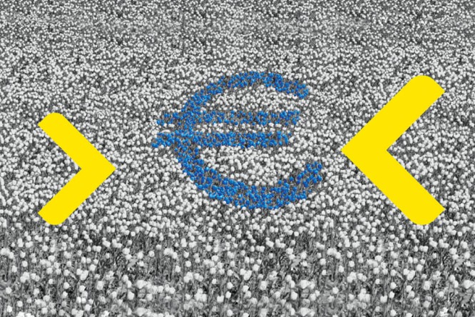 Një simbol i stilizuar i monedhës euro është mbivendosur mbi një fushë të dendur me tulipanë. Lulet shfaqen në një paletë monokrome, duke krijuar një sfond me teksturë. Format e verdha të ndritshme në formë shigjete rrethojnë shenjën blu të euros në të dyja anët, duke shtuar kontrast dhe drejtim. Kompozimi i përgjithshëm kombinon imazhet e natyrës me simbolikën financiare në një stil grafik dhe konceptual.